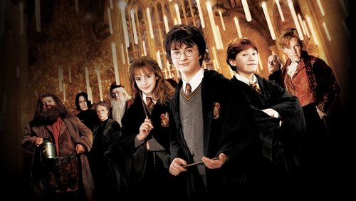 Harry Potter And The Chamber Of Secrets - Harry Potter Và Phòng Chứa Bí mật - Hình 3