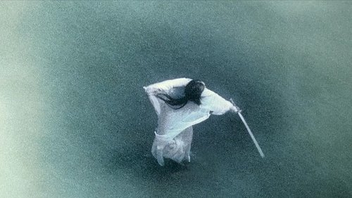 Ashes Of Time - Đông Tà Tây Độc - Hình 1