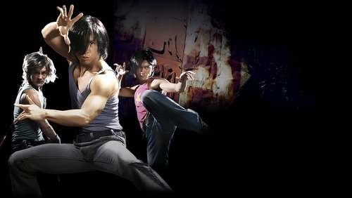 Dragon Tiger Gate - Long Hổ Môn - Hình 1