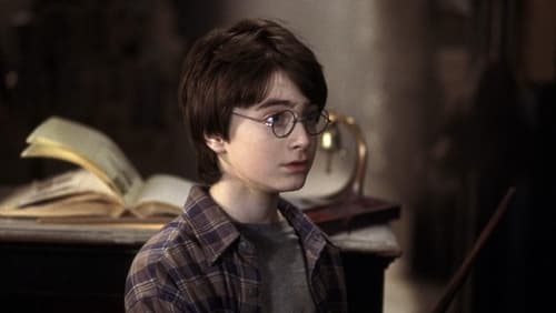 Harry Potter And The Sorcerer's Stone - Harry Potter Và Hòn Đá Phù thủy - Hình 2