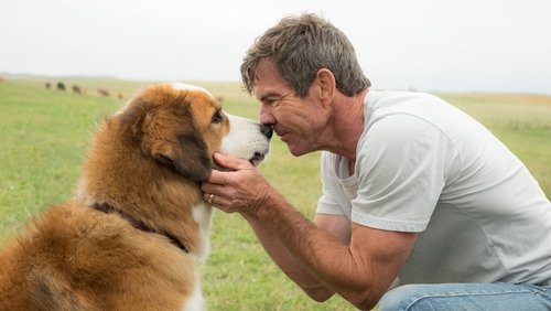 A Dog's Purpose - Mục Đích Sống Của Một Chú Chó - Hình 1