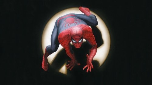 Spider-Man - Người Nhện - Hình 1
