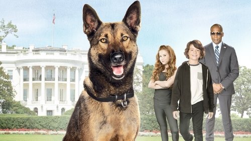 Max 2: White House Hero - Chú Chó Max 2: Cứu Tinh Nhà Trắng - Hình 5