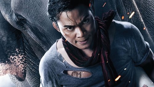 The Protector 2 - Người Bảo Vệ 2 - Hình 1