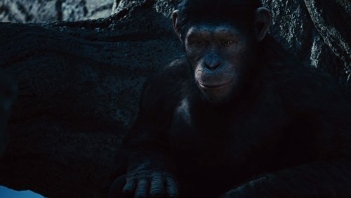 Rise of the Planet of the Apes - Sự Trỗi Dậy Của Hành Tinh Khỉ - Hình 3