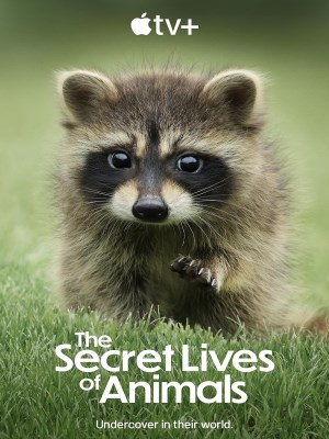Xem phim The Secret Lives of Animals - Bí Ẩn Về Thế Giới Động Vật 2024 Full HD Vietsub