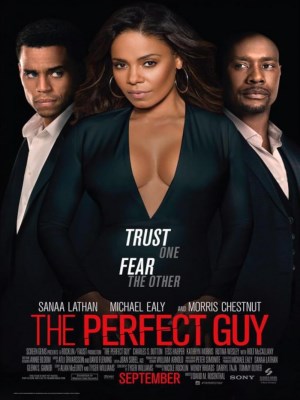 Xem phim The Perfect Guy - Chàng Trai Hoàn Hảo 2015 Full HD Vietsub