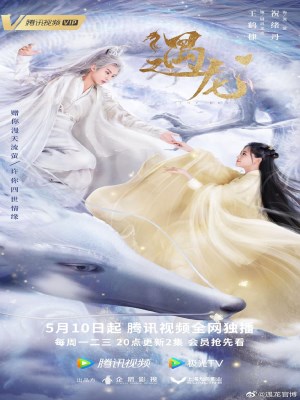 Xem phim Miss the Dragon - Ngộ Long 2021 Full HD Vietsub