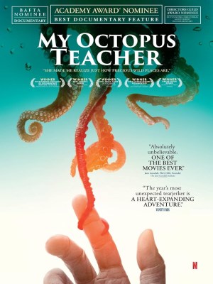 Xem phim My Octopus Teacher - Cô Giáo Bạch Tuộc 2020 Full HD Vietsub