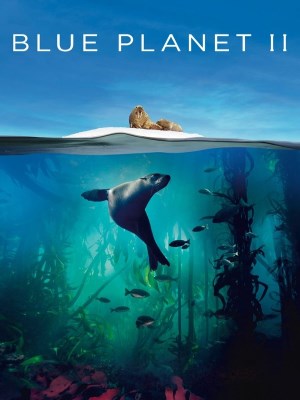 Xem phim Blue Planet II - Hành Tinh Màu Xanh Dương 2 2017 Full HD Vietsub