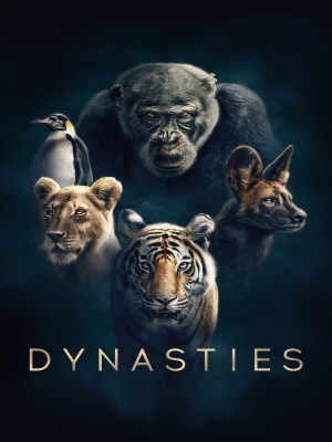 Xem phim Dynasties - Dynasties 2018 Full HD Vietsub