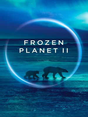 Xem phim Frozen Planet II - Frozen Planet II 2022 Full HD Vietsub