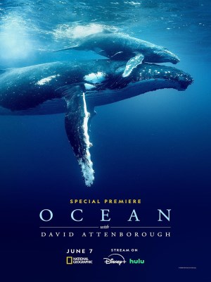 Xem phim Ocean with David Attenborough - Đại Dương Với David Attenborough 2025 Full HD Vietsub