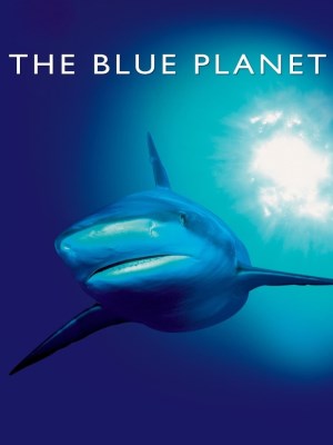 Xem phim The Blue Planet - Hành Tinh Màu Xanh Dương 2001 Full HD Vietsub Xem phim The Blue Planet - Hành Tinh Màu Xanh Dương 2001 Full HD Vietsub