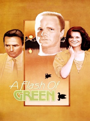 Xem phim A Flash of Green - A Flash of Green 1984 Full HD Vietsub