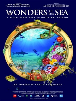 Xem phim Wonders of the Sea - Kỳ Quan Của Đại Dương 2017 Full HD Vietsub Xem phim Wonders of the Sea - Kỳ Quan Của Đại Dương 2017 Full HD Vietsub