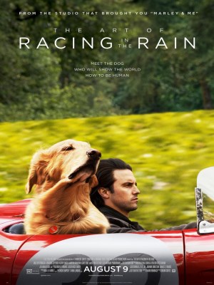 Xem phim The Art of Racing in the Rain - Cuộc Đời Phi Thường Của Chú Chó Enzo 2019 Full HD Vietsub