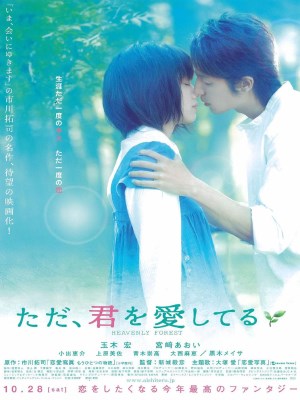 Xem phim Heavenly Forest - Tấm Ảnh Tình Yêu 2006 Full HD Vietsub