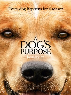 Xem phim A Dog's Purpose - Mục Đích Sống Của Một Chú Chó 2017 Full HD Vietsub