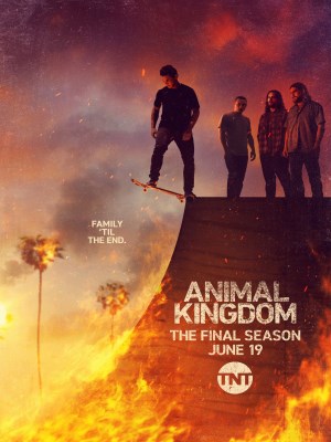 Xem phim Animal Kingdom Season 6 - Vương Quốc Tội Phạm (Mùa 6) 2022 Full HD Vietsub