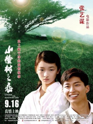 Xem phim Under the Hawthorn Tree - Chuyện Tình Cây Táo Gai 2010 Full HD Vietsub