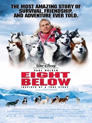 Xem phim Eight Below - Âm Tám Độ 2006 Full HD Vietsub