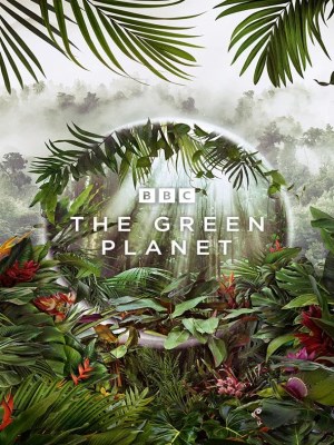 Xem phim The Green Planet - Hành Tinh Xanh 2022 Full HD Vietsub Xem phim The Green Planet - Hành Tinh Xanh 2022 Full HD Vietsub