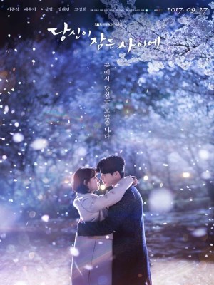 Xem phim While You Were Sleeping - Khi Nàng Say Giấc 2017 Full HD Vietsub
