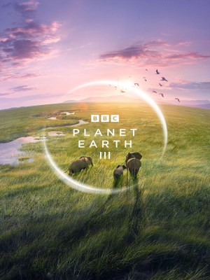Xem phim Planet Earth III - Hành Trình Trái Đất 3 2023 Full HD Vietsub