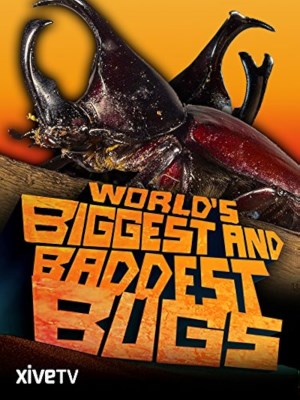 Xem phim World's Biggest and Baddest Bugs - Thế Giới Côn Trùng Khổng Lồ và Nguy Hiểm 2009 Full HD Vietsub