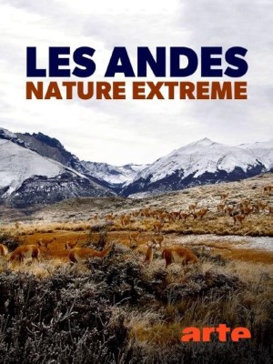 Xem phim The Wild Andes - The Wild Andes 2018 Full HD Vietsub