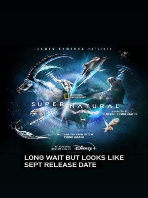 Xem phim Super/Natural - Super/Natural 2022 Full HD Vietsub