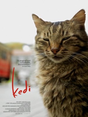 Xem phim Kedi - Thế Giới Loài Mèo 2016 Full HD Vietsub