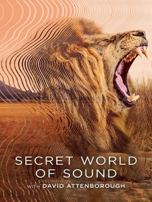 Xem phim Secret World of Sound with David Attenborough - David Attenborough: Thế Giới Bí Mật Vủa Âm Thanh 2024 Full HD Vietsub