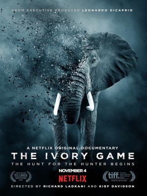 Xem phim The Ivory Game - Cuộc Chiến Ngà Voi 2016 Full HD Vietsub