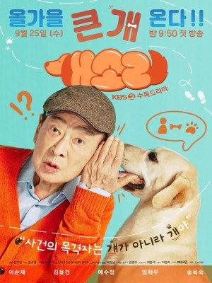Xem phim Gaesori - Chú Chó Biết Tuốt 2024 Full HD Vietsub