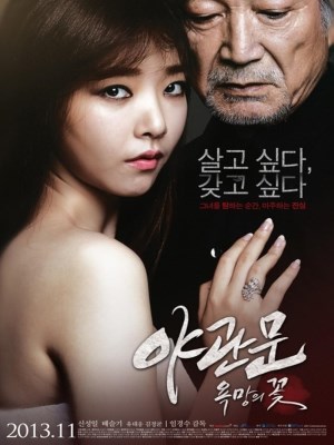 Xem phim Door to the Night - Cánh Cửa Đêm 2013 Full HD Vietsub