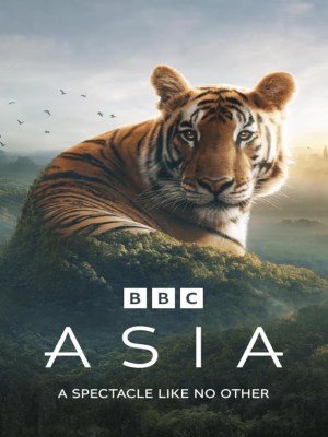 Xem phim Asia - Châu Á 2024 Full HD Vietsub Xem phim Asia - Châu Á 2024 Full HD Vietsub